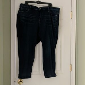 Lane Bryant jeans - 24W
